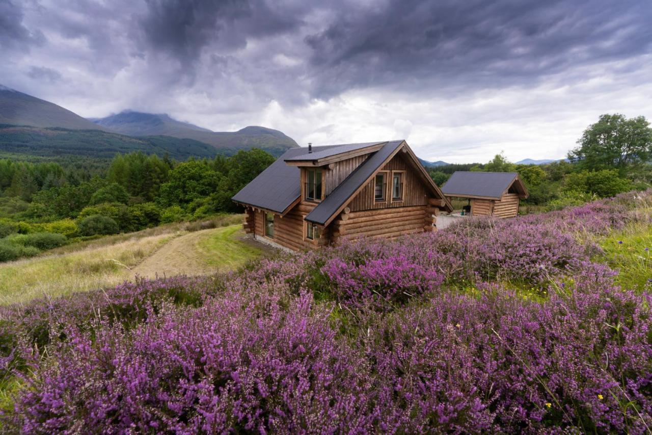 Wild Nurture Eco Luxury Offgrid Log Cabin Форт-Уильям Экстерьер фото